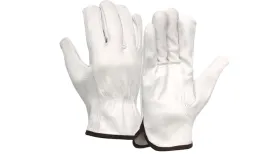 Pyramex - LEATHER DRIVER GL3001K - Select Goatskin Driver